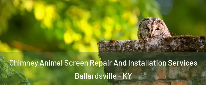 Chimney Animal Screen Repair And Installation Services Ballardsville - KY