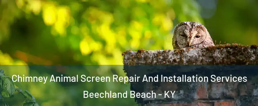 Chimney Animal Screen Repair And Installation Services Beechland Beach - KY