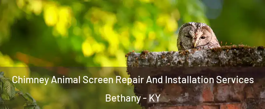 Chimney Animal Screen Repair And Installation Services Bethany - KY