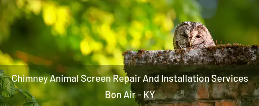 Chimney Animal Screen Repair And Installation Services Bon Air - KY