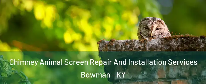 Chimney Animal Screen Repair And Installation Services Bowman - KY