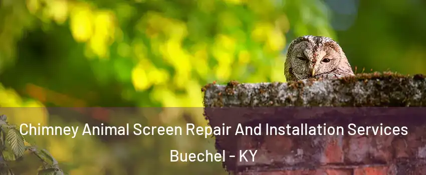 Chimney Animal Screen Repair And Installation Services Buechel - KY