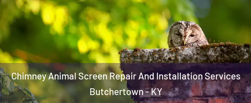 Chimney Animal Screen Repair And Installation Services Butchertown - KY