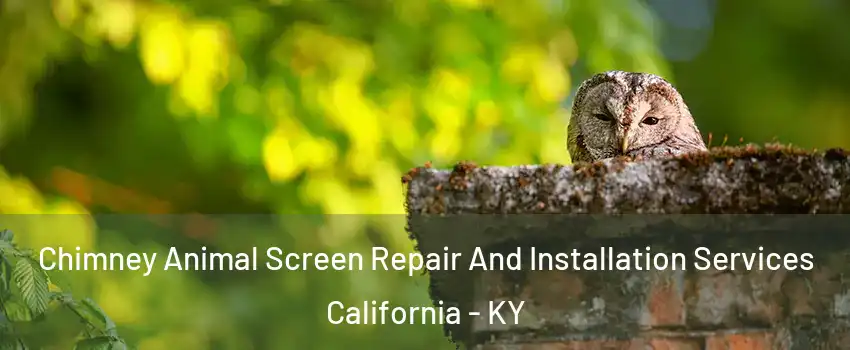 Chimney Animal Screen Repair And Installation Services California - KY