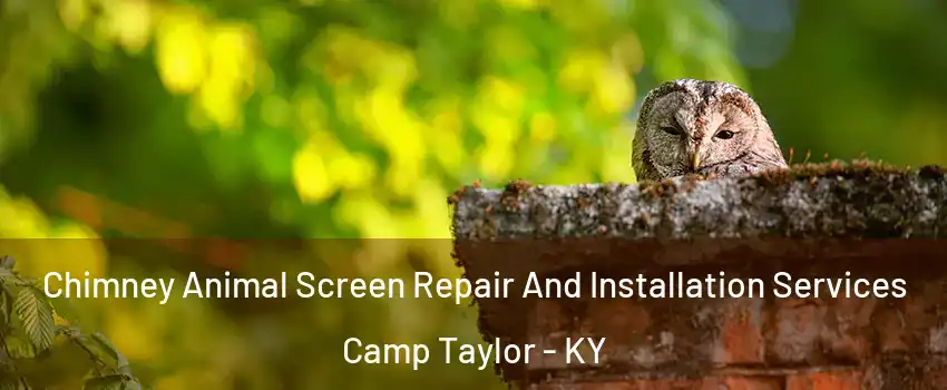 Chimney Animal Screen Repair And Installation Services Camp Taylor - KY