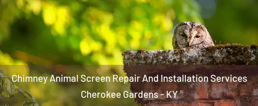 Chimney Animal Screen Repair And Installation Services Cherokee Gardens - KY