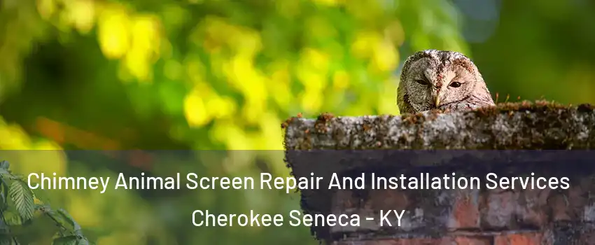 Chimney Animal Screen Repair And Installation Services Cherokee Seneca - KY