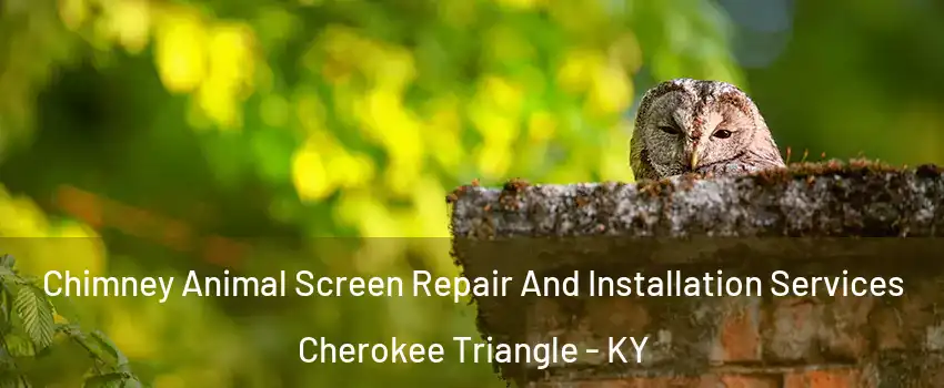 Chimney Animal Screen Repair And Installation Services Cherokee Triangle - KY