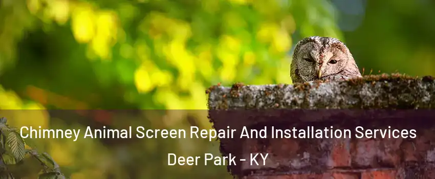 Chimney Animal Screen Repair And Installation Services Deer Park - KY