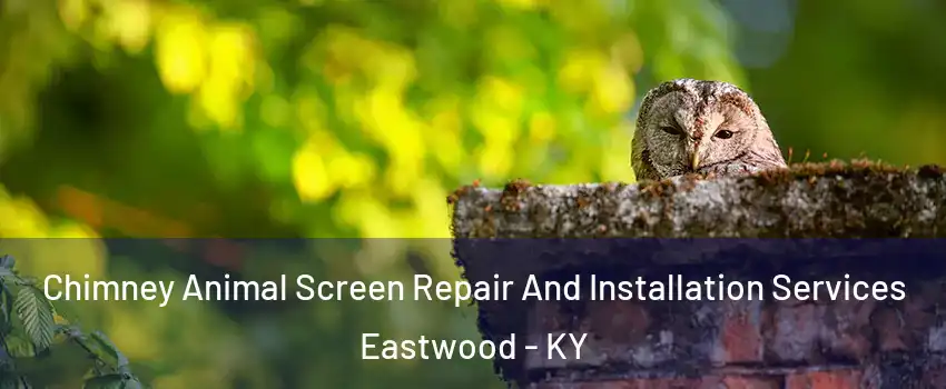 Chimney Animal Screen Repair And Installation Services Eastwood - KY