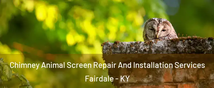 Chimney Animal Screen Repair And Installation Services Fairdale - KY