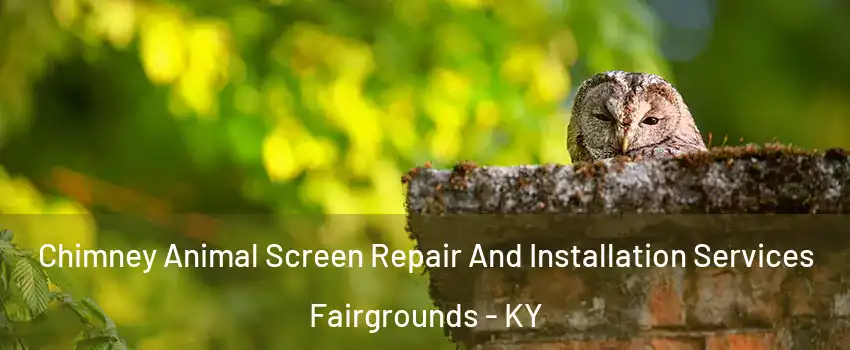 Chimney Animal Screen Repair And Installation Services Fairgrounds - KY