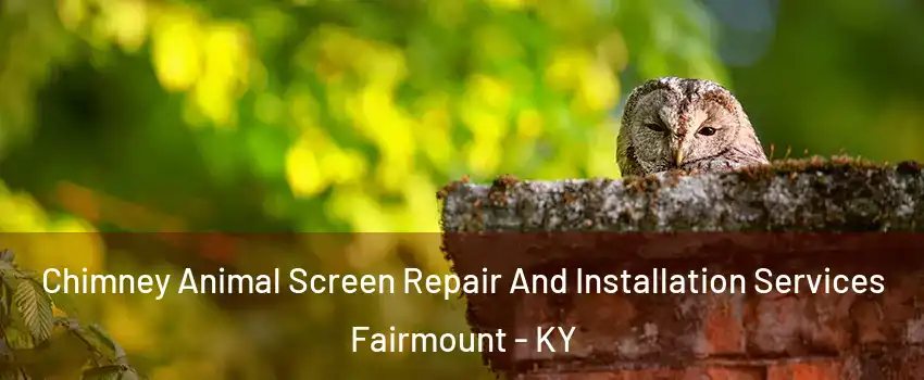 Chimney Animal Screen Repair And Installation Services Fairmount - KY