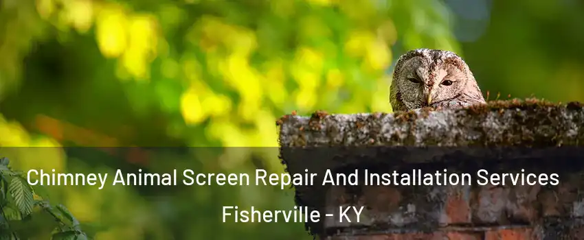 Chimney Animal Screen Repair And Installation Services Fisherville - KY