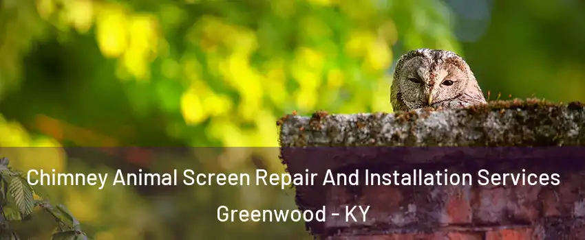 Chimney Animal Screen Repair And Installation Services Greenwood - KY