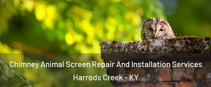 Chimney Animal Screen Repair And Installation Services Harrods Creek - KY