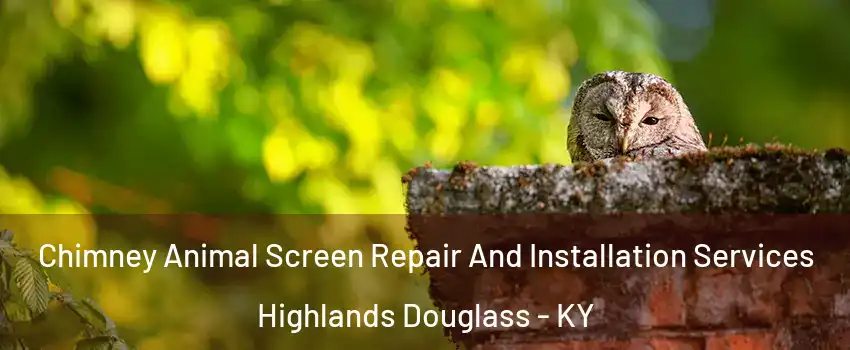 Chimney Animal Screen Repair And Installation Services Highlands Douglass - KY