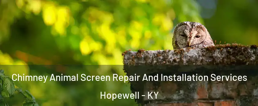 Chimney Animal Screen Repair And Installation Services Hopewell - KY