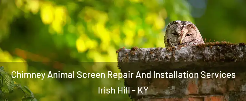 Chimney Animal Screen Repair And Installation Services Irish Hill - KY