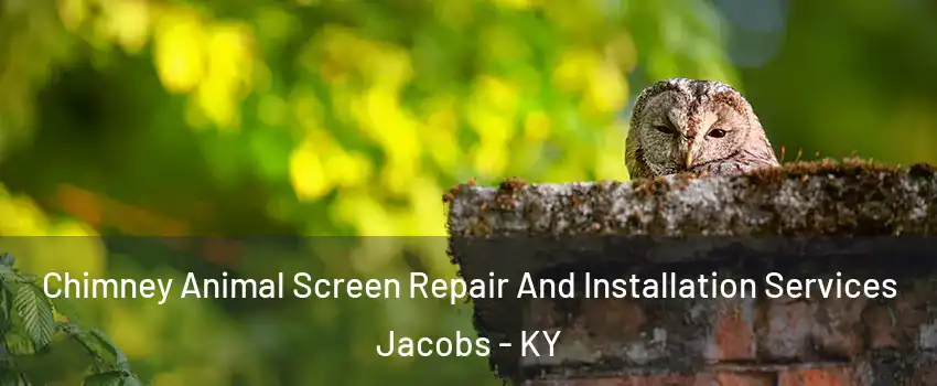 Chimney Animal Screen Repair And Installation Services Jacobs - KY