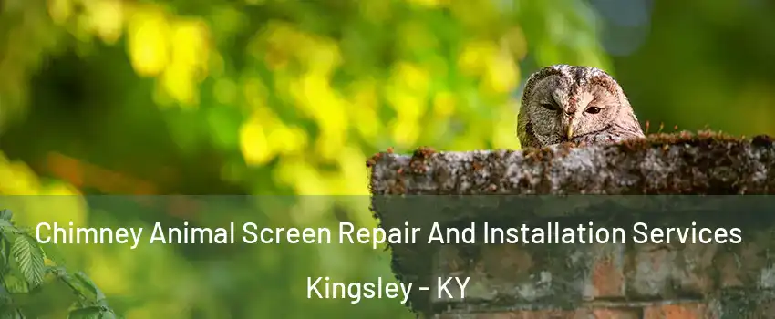 Chimney Animal Screen Repair And Installation Services Kingsley - KY