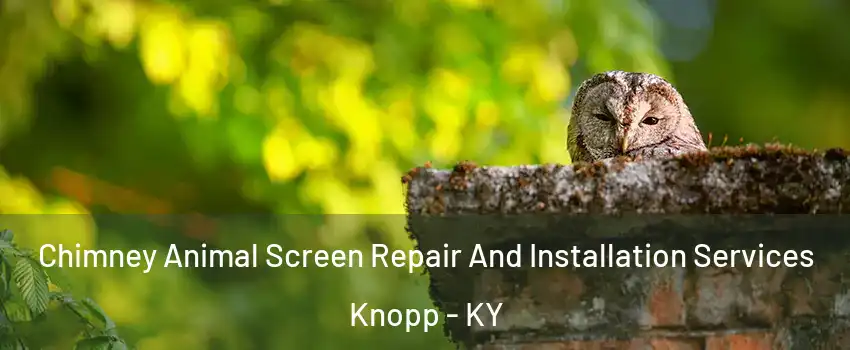 Chimney Animal Screen Repair And Installation Services Knopp - KY