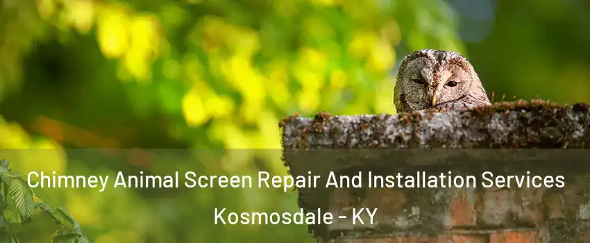 Chimney Animal Screen Repair And Installation Services Kosmosdale - KY