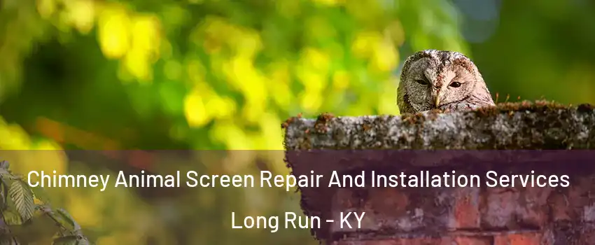 Chimney Animal Screen Repair And Installation Services Long Run - KY