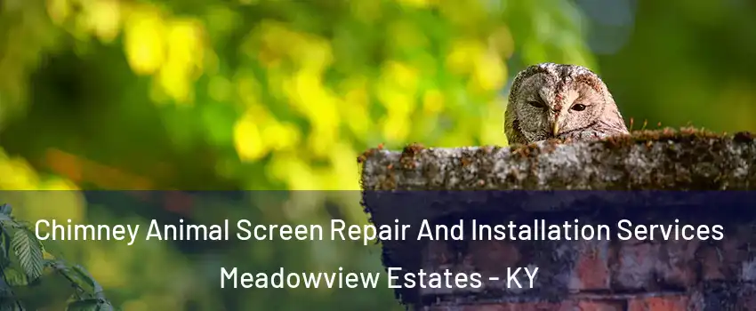 Chimney Animal Screen Repair And Installation Services Meadowview Estates - KY