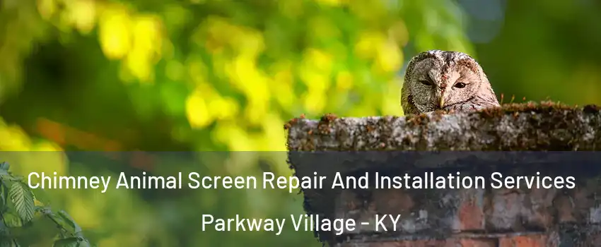 Chimney Animal Screen Repair And Installation Services Parkway Village - KY