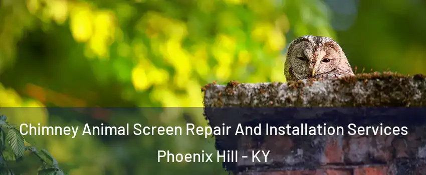 Chimney Animal Screen Repair And Installation Services Phoenix Hill - KY