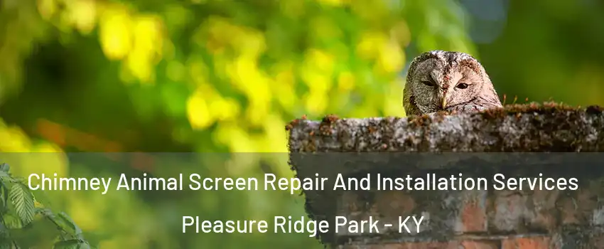 Chimney Animal Screen Repair And Installation Services Pleasure Ridge Park - KY