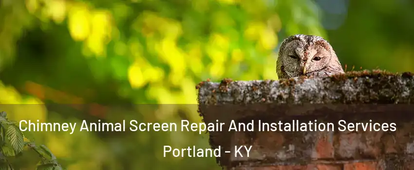 Chimney Animal Screen Repair And Installation Services Portland - KY