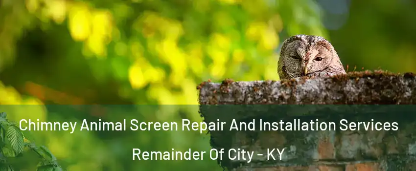 Chimney Animal Screen Repair And Installation Services Remainder Of City - KY