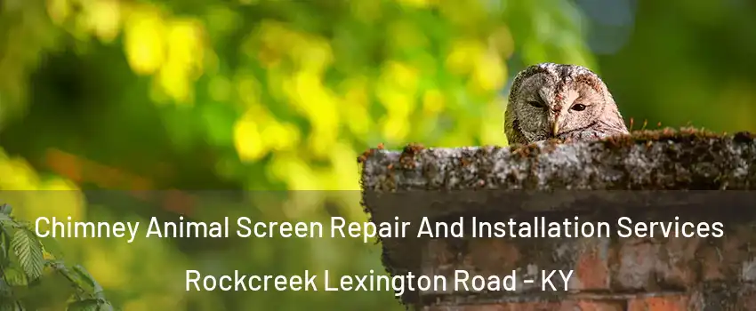 Chimney Animal Screen Repair And Installation Services Rockcreek Lexington Road - KY