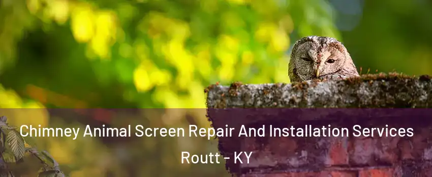 Chimney Animal Screen Repair And Installation Services Routt - KY