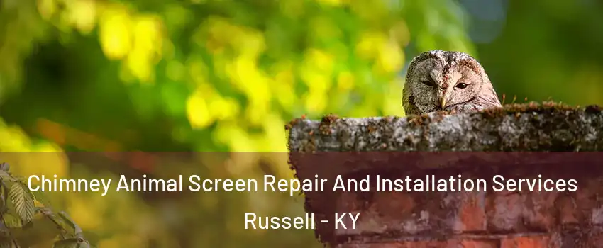 Chimney Animal Screen Repair And Installation Services Russell - KY