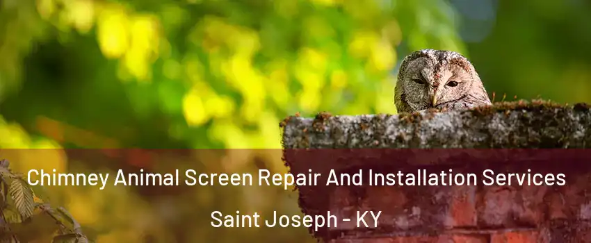 Chimney Animal Screen Repair And Installation Services Saint Joseph - KY