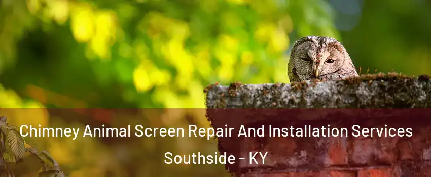 Chimney Animal Screen Repair And Installation Services Southside - KY