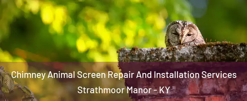 Chimney Animal Screen Repair And Installation Services Strathmoor Manor - KY