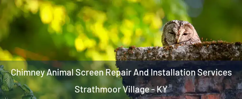 Chimney Animal Screen Repair And Installation Services Strathmoor Village - KY