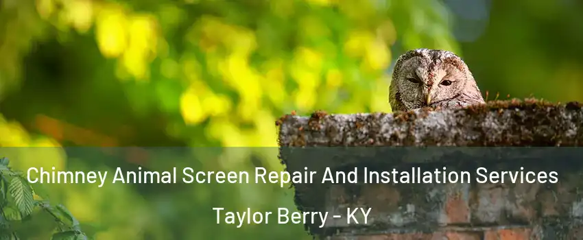 Chimney Animal Screen Repair And Installation Services Taylor Berry - KY