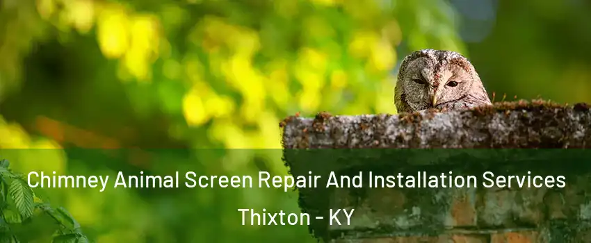 Chimney Animal Screen Repair And Installation Services Thixton - KY