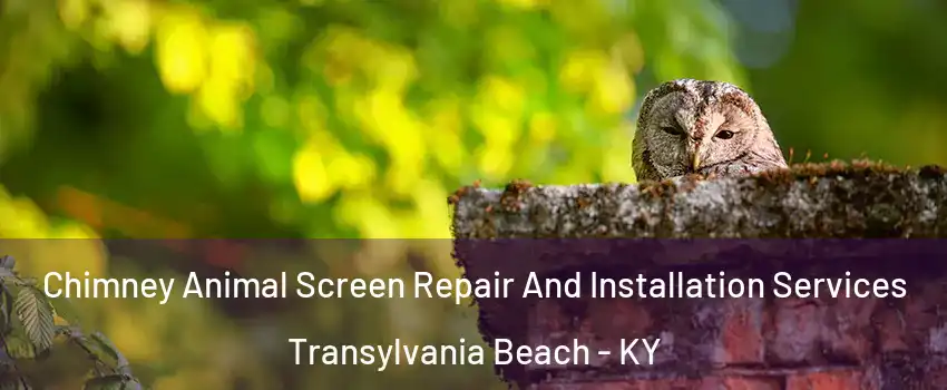 Chimney Animal Screen Repair And Installation Services Transylvania Beach - KY