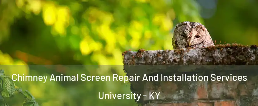 Chimney Animal Screen Repair And Installation Services University - KY