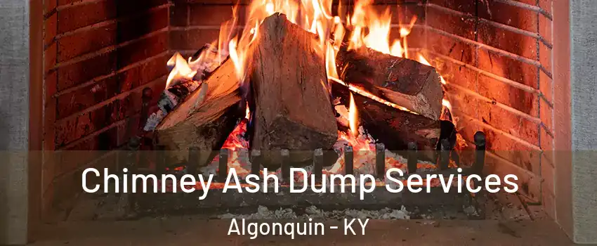 Chimney Ash Dump Services Algonquin - KY