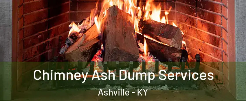 Chimney Ash Dump Services Ashville - KY