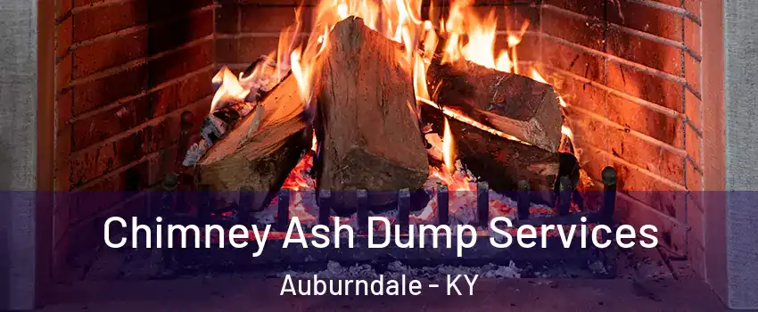 Chimney Ash Dump Services Auburndale - KY