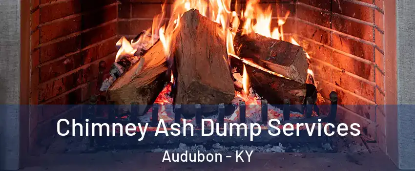 Chimney Ash Dump Services Audubon - KY