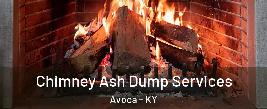 Chimney Ash Dump Services Avoca - KY